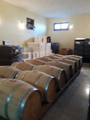 Wein-3