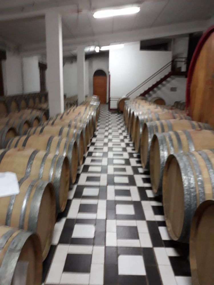 Wein-1