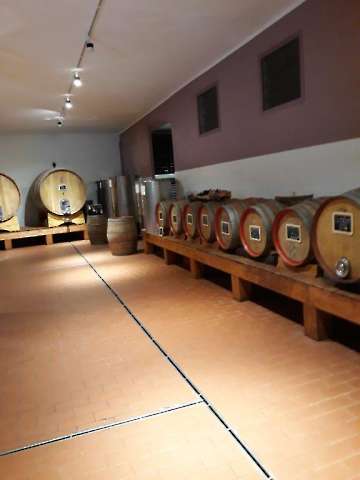 Wein-4