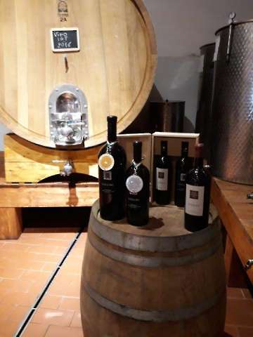 Wein-5
