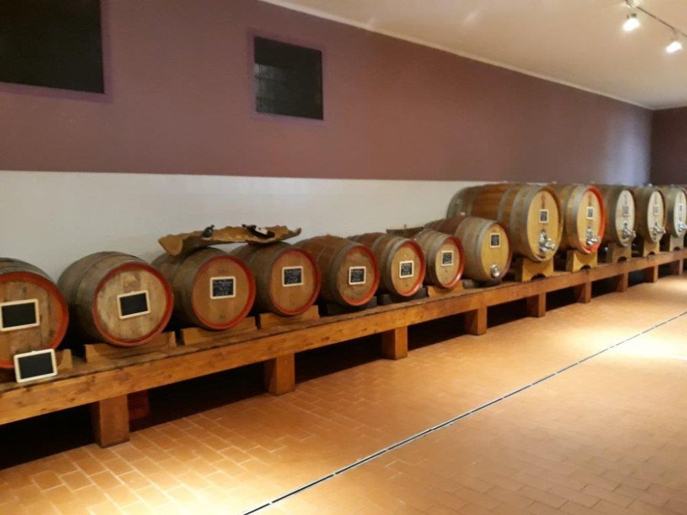 Wein-6