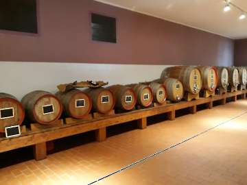 Wein-6