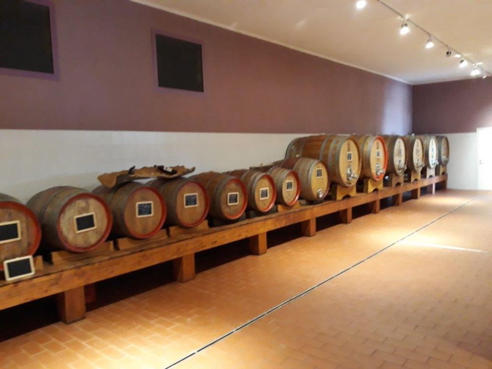 Wein-8