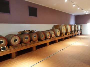 Wein-8
