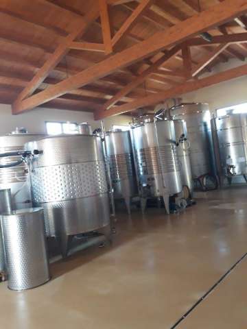 Wein-13